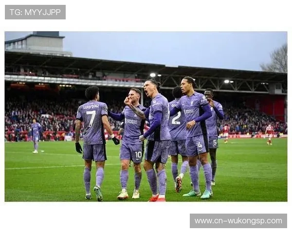 努涅斯：从南美新星到英超焦点的成长轨迹与质疑解析