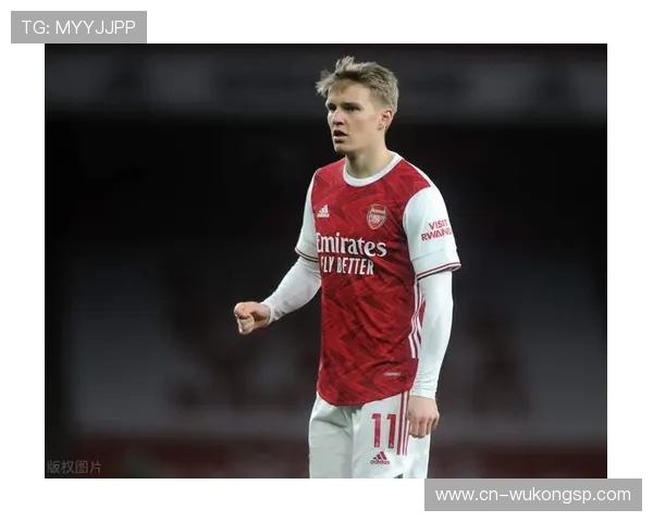 厄德高国家队关键战表现解析