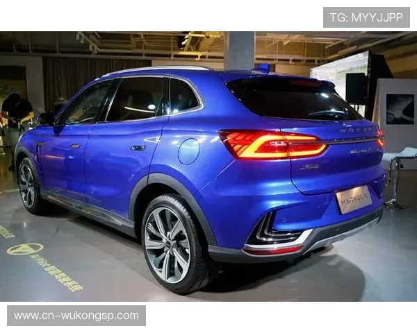 汪周雨居然没人注意他每天早晨都是豪车接送，跟大明星似的咋回事？